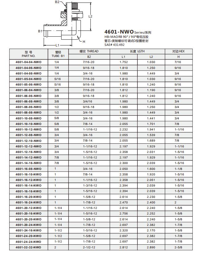 4601-04-04-NWO 明细