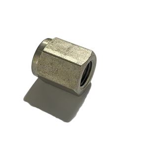 SS-4-CP,  Stainless Steel 1/4" Female NPT Pipe Cap